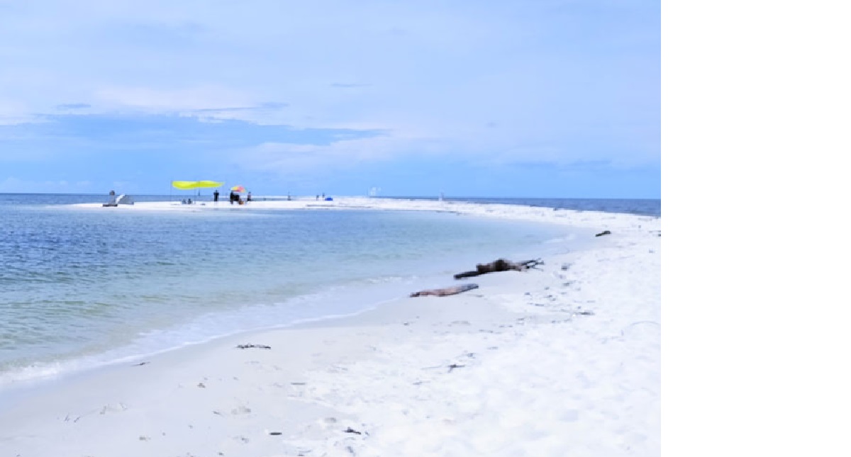 WISATA: Gosong Beras Basah yang berada di perairan Desa Teluk Bogam, Kecamatan Kumai, Kabupaten Kotawaringin Barat, belum lama tadi.