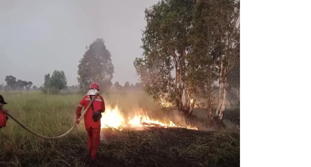 PADAMKAN API: Upaya pemadaman karhutla di Desa Pulau Nyiur, Kecamatan Karang Intan, Kabupaten Banjar yang dilakukan Regu II Daops Manggala Agni Kalimantan-V Banjar, pada Jumat 16 Agustus 2024.