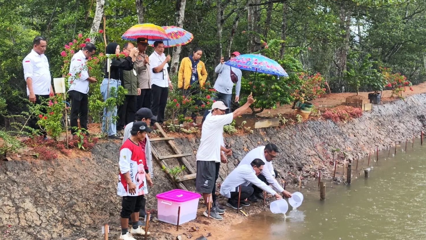 DUKUNG KETAHANAN PANGAN:Camat Kuaro, Finandar Astaman saat melepaskan bibit ikan ke tambak ramah lingkungan di Desa Modang, Kecamatan Kuaro, pada Kamis (22/08).(FOTO:TOMI/PASERPOS)
