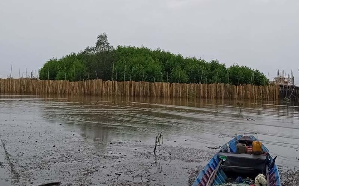 BUDIDAYA: Lokasi sylvofishery untuk kepiting bakau di Desa Teluk Bogam Kecamatan Kumai, Kabupaten Kobar. (Istimewa)