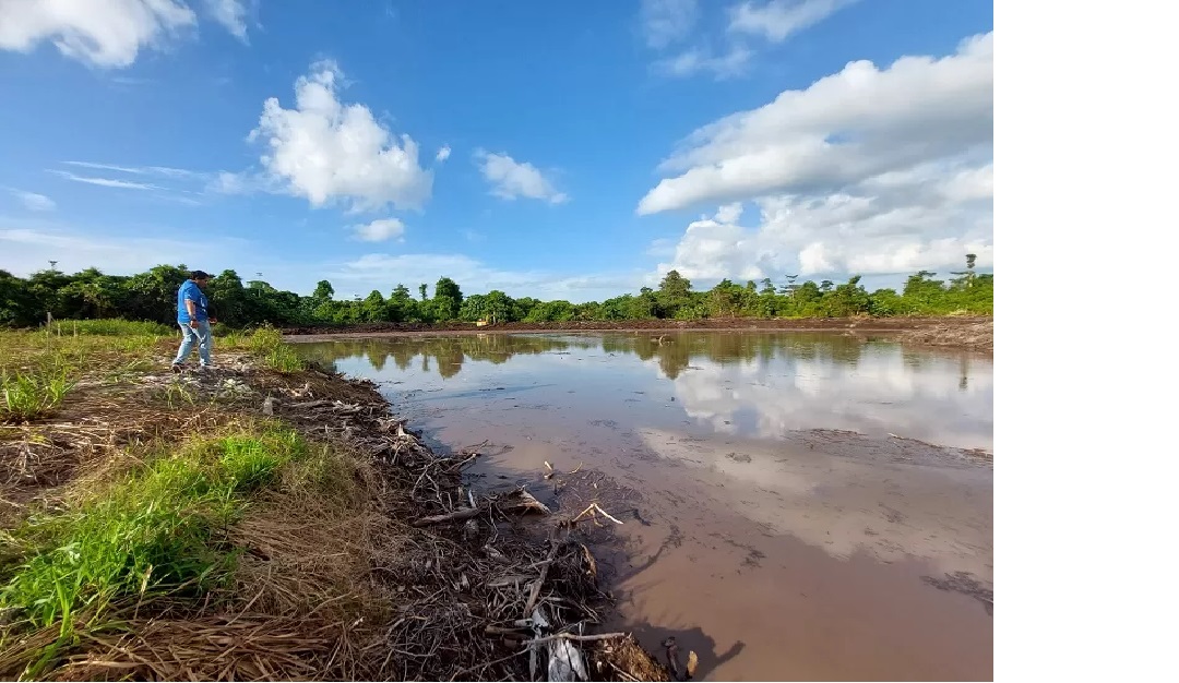 TERINTEGRASI: Tampak kawasan embung yang ada di kawasan Kebun Raya Bulungan.