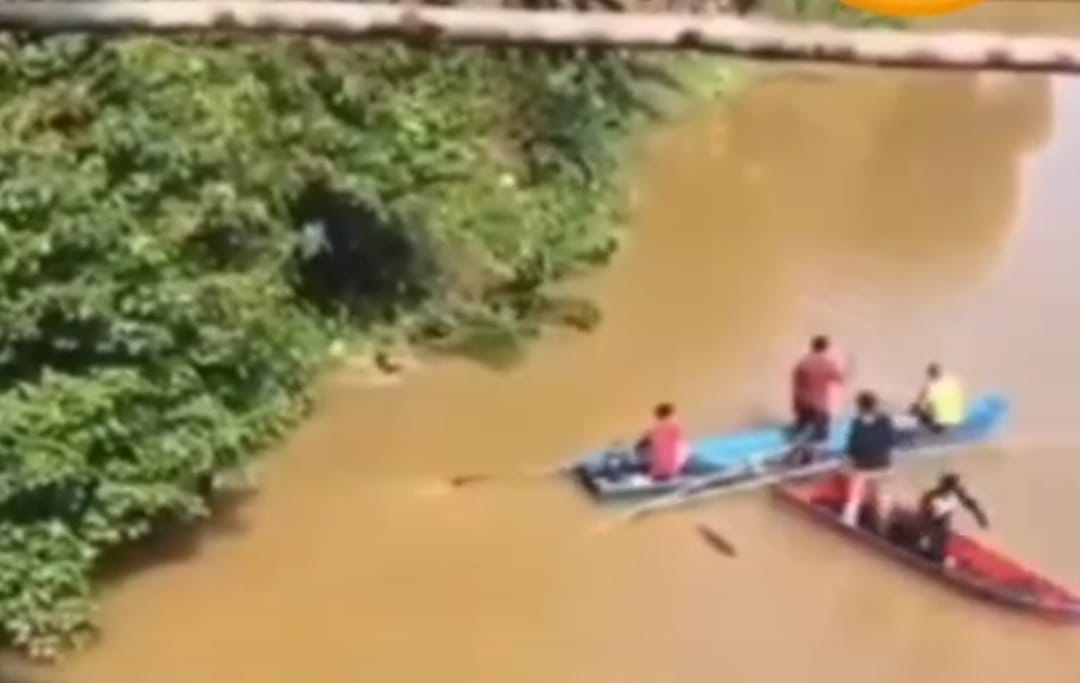 Proses penangkapan buaya.