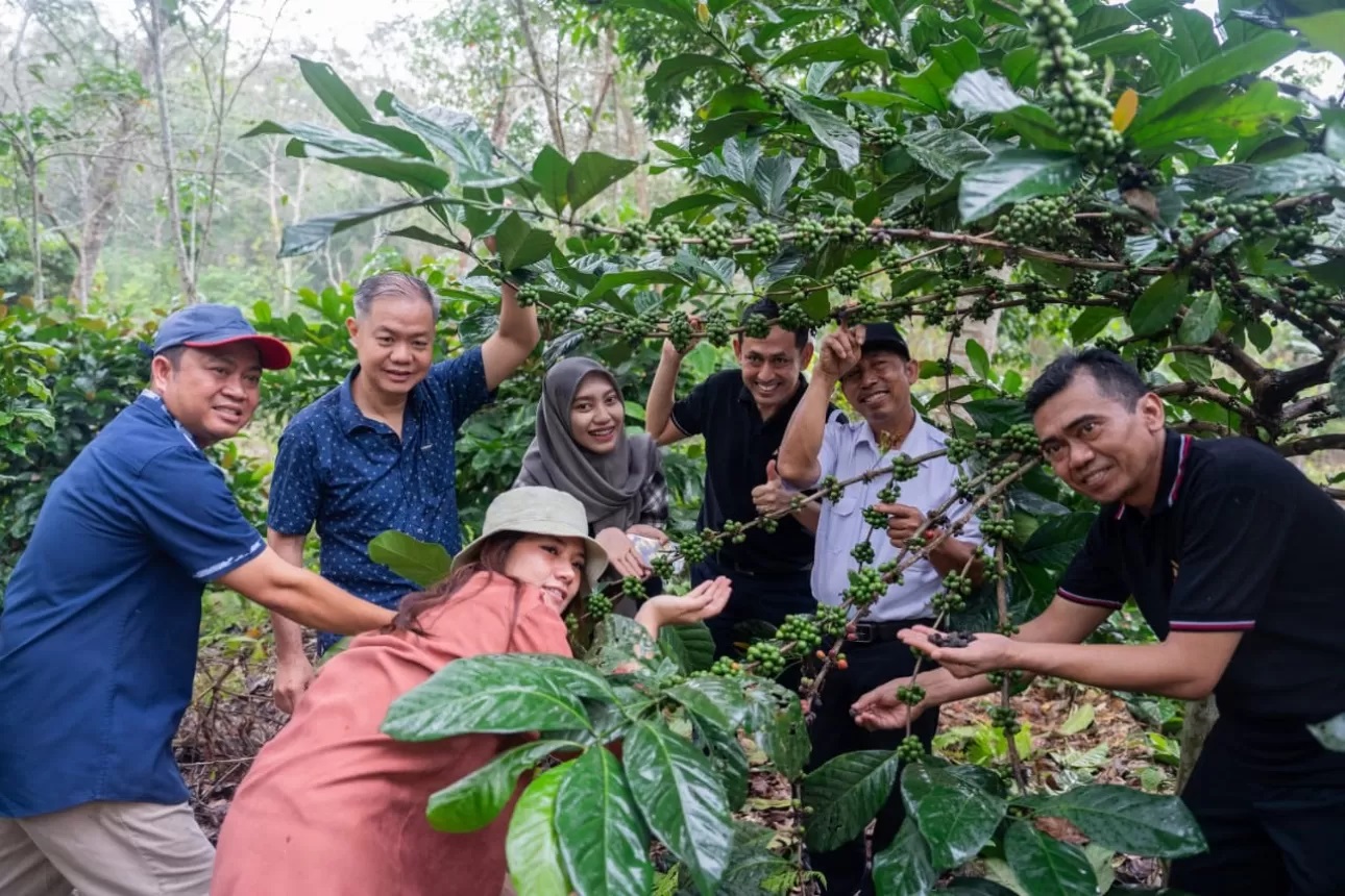 SERIUSI: Potensi seduhan lokal berkualitas. Mendorong Mercure & Ibis Hotel Samarinda seriusi pengembangan ekonomi dan pemberdayaan. (IST)