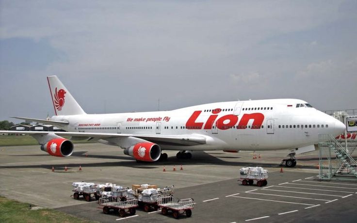 Ilustrasi maskapai Lion Air.