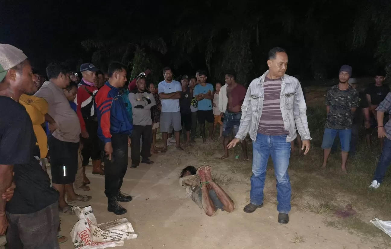 PELAKU PEMBUNUHAN: Polisi saat membekuk tersangka pembunuhan istrinya di Desa Belimbing Kecamatan Long Ikis, Paser, Minggu (14/10/2024).&nbsp;