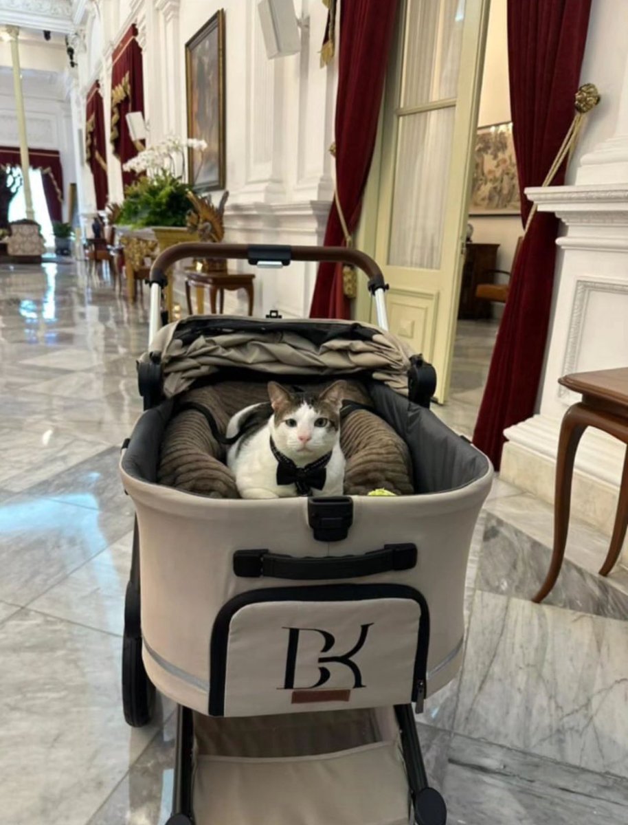 Bobby Kertanegara di Istana Negara. (X)