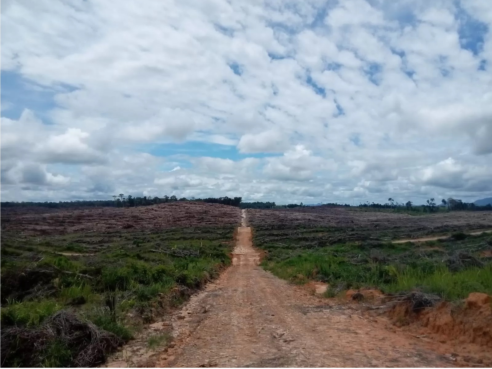 DISEROBOT: Lahan milik warga eks Transmigrasi UPT 12 Nanga Suhaid yang terletak di Desa Karya Maju Kecamatan Boyan Tanjung yang digarap oleh pihak perusahaan. (ISTIMEWA)