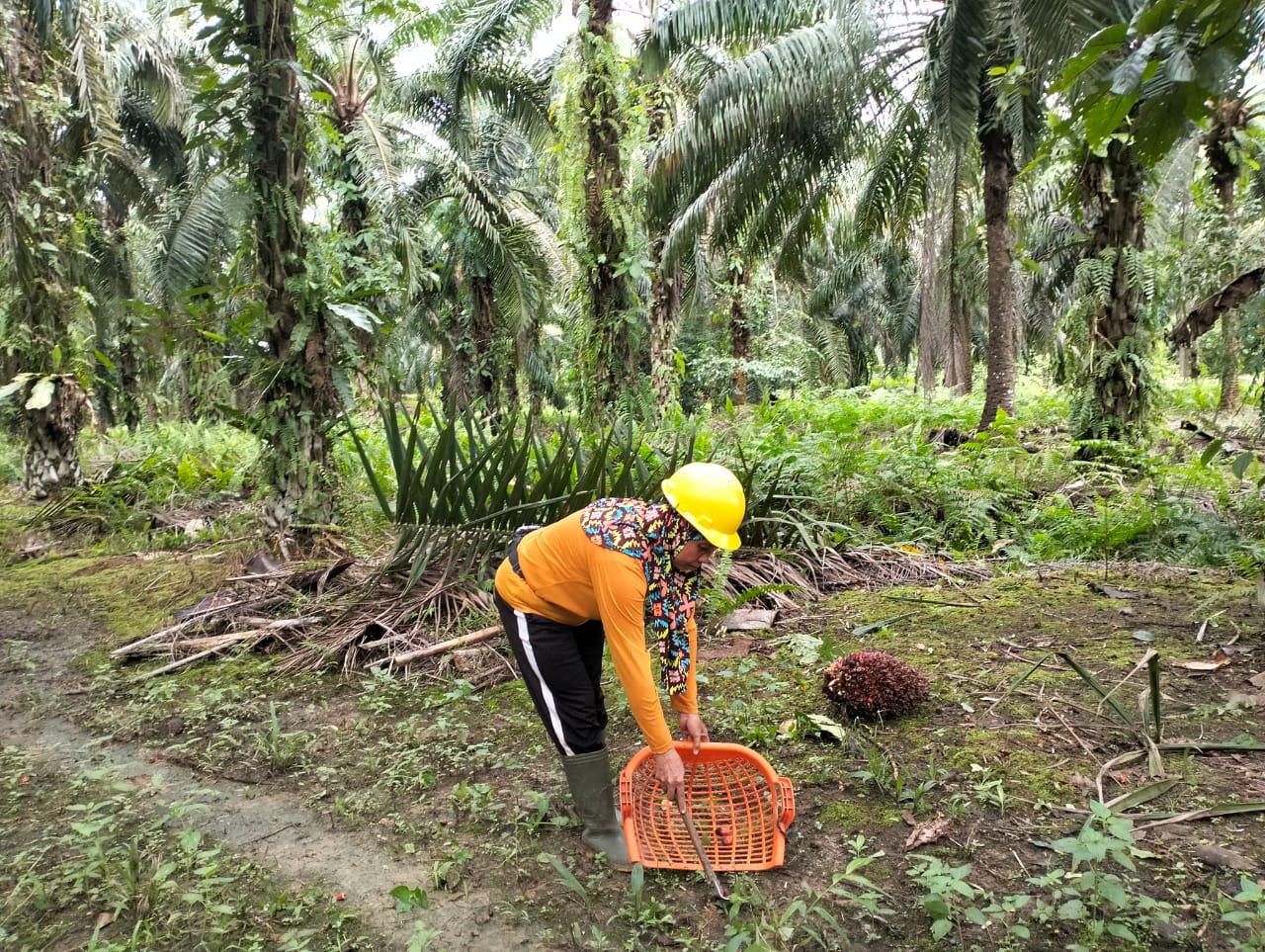 JADI TENANG: Suarni, salah seorang pekerja di PT SKP. Saat bekerja, anaknya dititipkan di TPA perusahaan.
