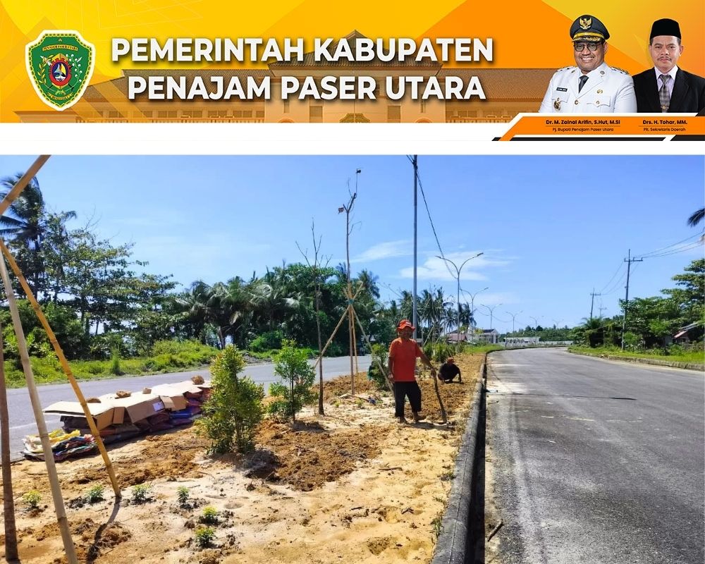 TANAM: Pekerja sedang menggemburkan tanah di median coastal road untuk selanjutnya ditanami pohon peneduh, hias dan perdu.