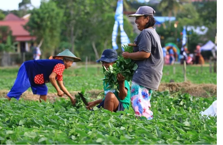 PERMINTAAN TINGGI: Sektor holtikultura makin menjanjikan untuk digeluti. Terlihat dari daya beli petaninya yang terus meningkat. (DOK/KP)