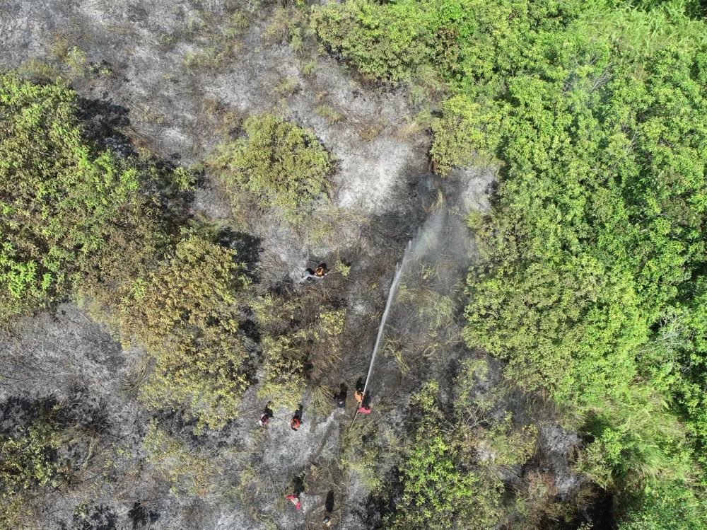 KEBAKARAN HUTAN: Total lahan dan hutan yang terbakar seluas 70 hektar dari kejadian karhutla sepanjang tahun 2024.