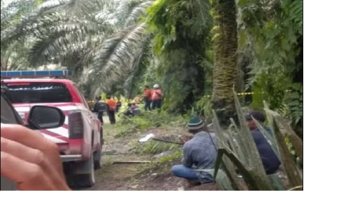 Lokasi penemuan jenazah gadis belia yang sempat dikabarkan menghilang dan ditemukan meninggal