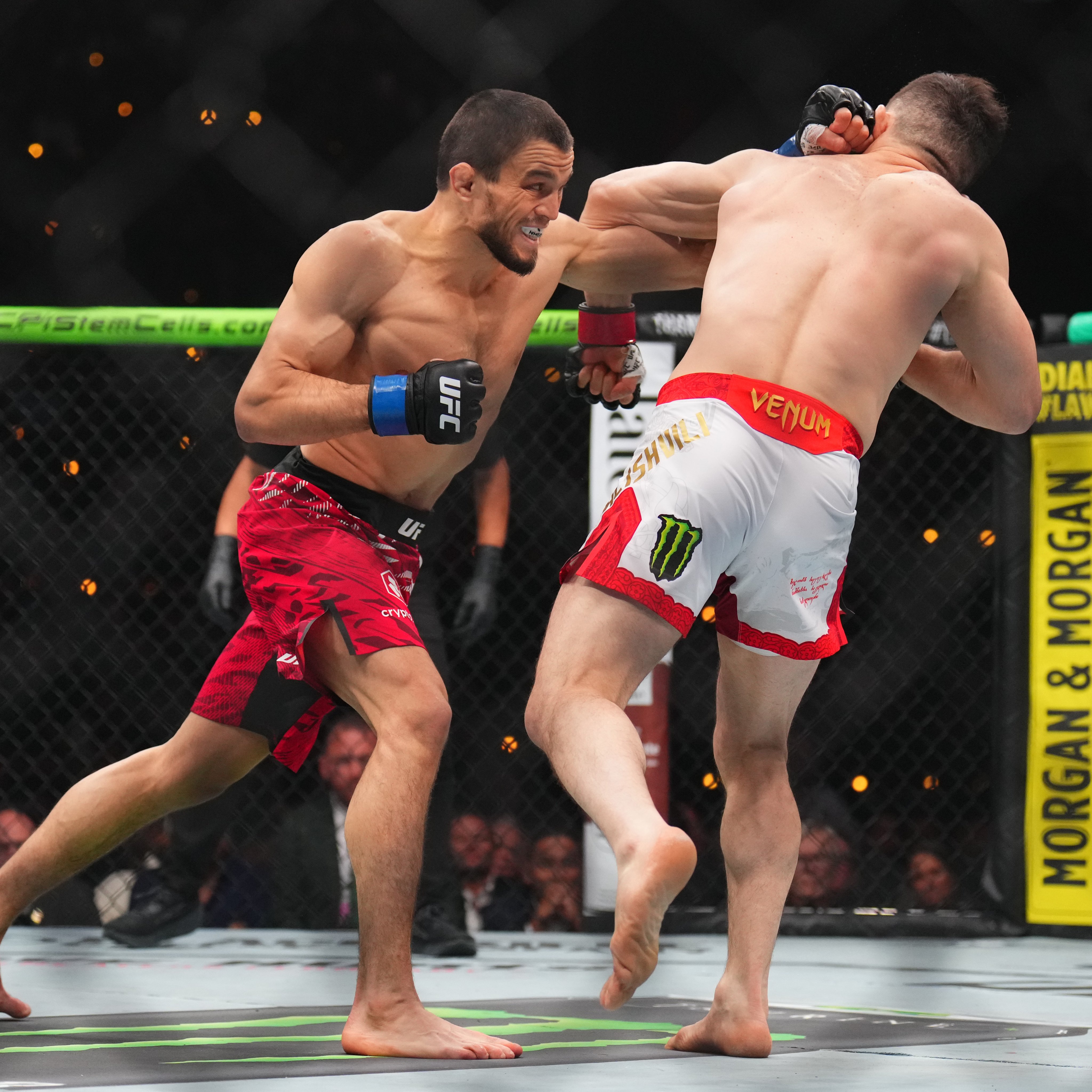 Umar saat melontarkan pukulan ke wajah Merab.