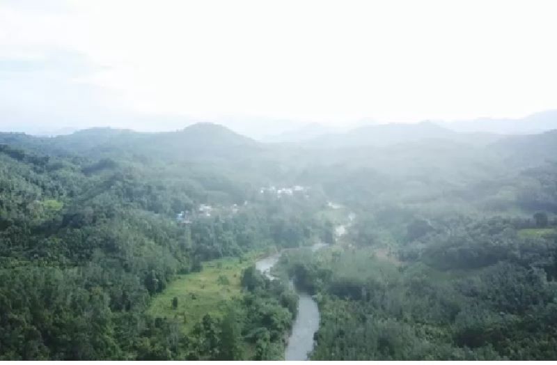 ULAYAT: Wilayah adat masyarakat Dayak Pitap di Kecamatan Tebing Tinggi, Balangan dipotret menggunakan drone. (Foto: WALHI KALSEL)
