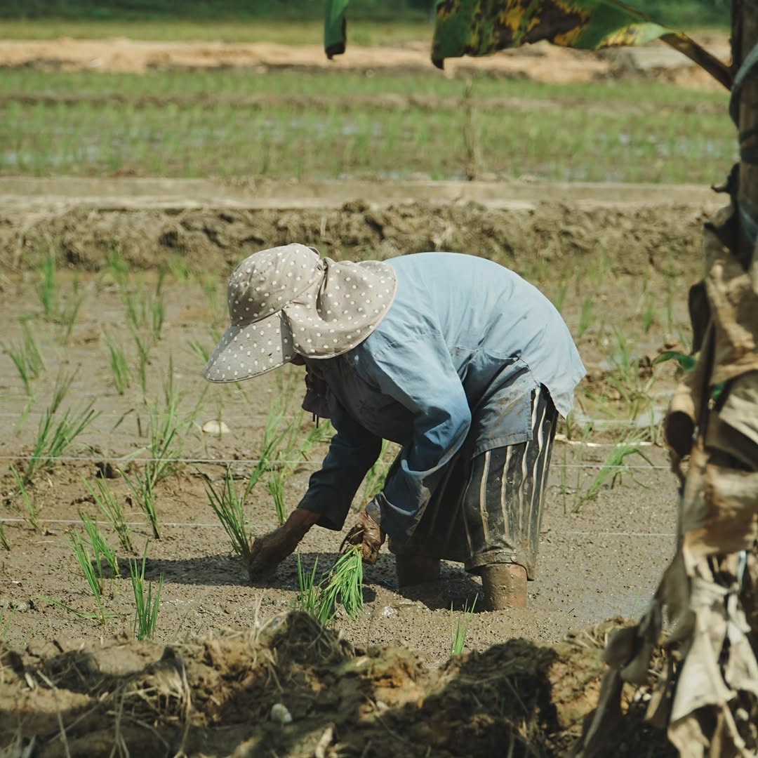 ILUSTRASI: Para agen pupuk subsidi di Kabupaten Berau diminta menaati HET.