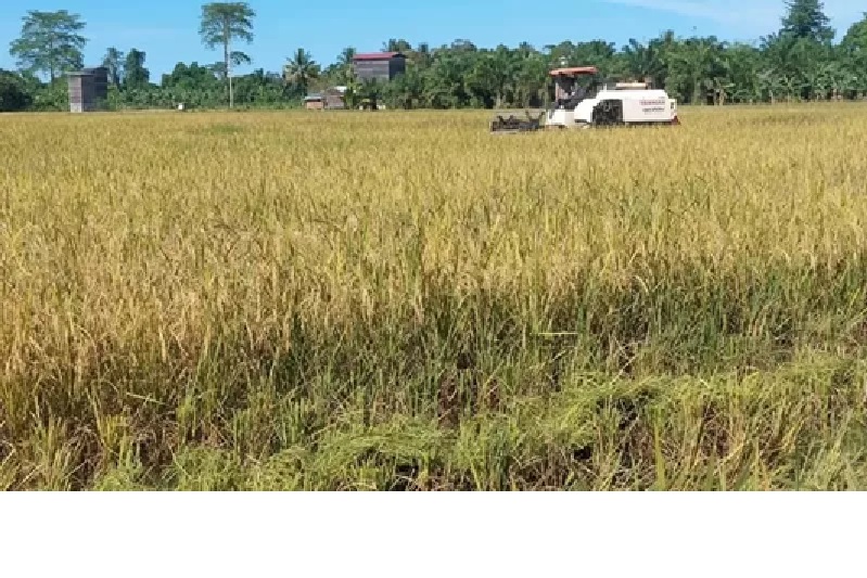 TEKNOLOGI MODERN : Tampak area pertanian di wilayah Bulungan.