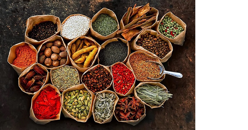 ilustrasi rempah rempah.