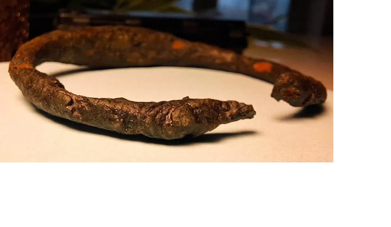 Ban lengan Viking ( Kalmar County Administrative Board)