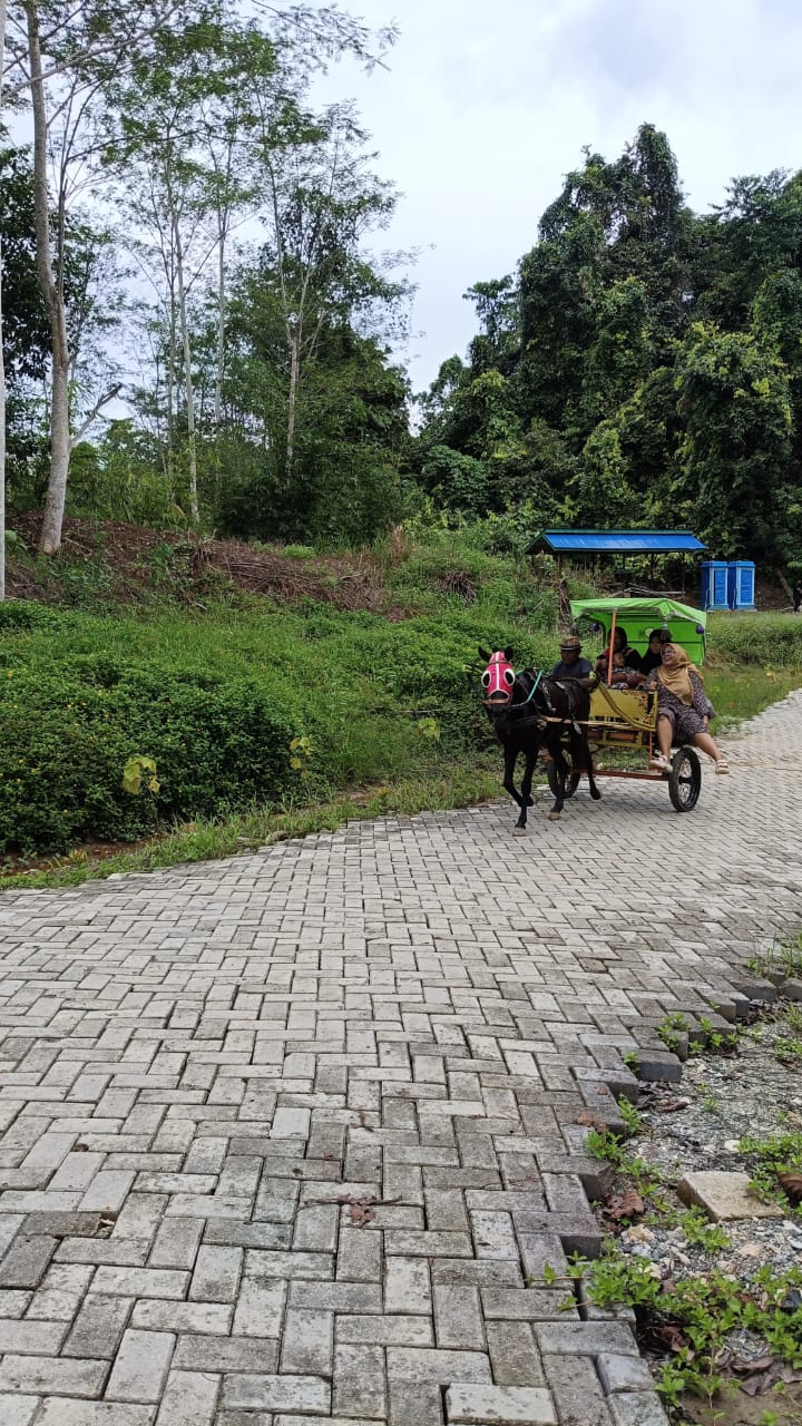 DAYA TARIK: Wisatawan saat menikmati sensasi menunggang kuda dan delman yang disediakan pengelola objek wisata Gua Tapak Raja di Desa Wonosari, Sepaku, PPU.