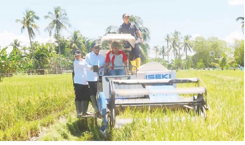 OPTIMIS: Bupati Kabupaten HSU H Sahrujani dan Wabup bersama menjajal traktor Combine Harvester saat panen raya di Desa Hambuku, Senin (7/4/2025). (Foto: M. Akbar/Radar Banjarmasin)