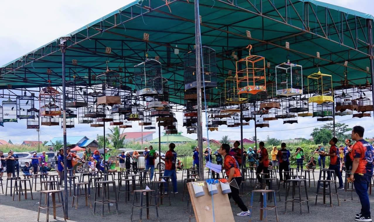 AJANG: Salah satu lomba burung yang digelar di Kaltim.