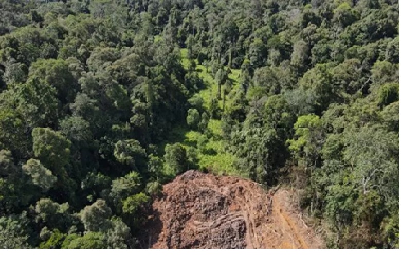 Sampai sekarang pelaku pengrusakan hutan tersebut masih belum mampu diungkap.
