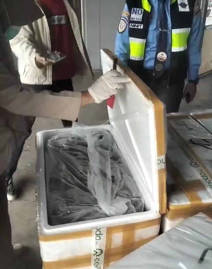 PELUANG BESAR: Bandara Kalimarau berstatus domestik tapi bisa melakukan ekspor langsung.