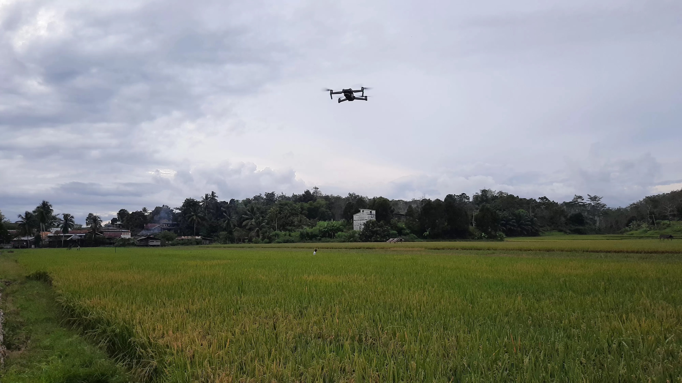 PERMINTAAN TINGGI: Harga tanah di Kecamatan Sepaku saat ini melonjak signifikan. Bahkan ada yang lebih Rp 800 ribu per meter persegi sesuai jarak dengan pembangunan IKN. (Nasya/KP)