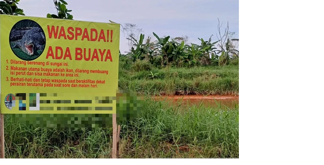 Pencarian korban warga Petangis, Paser yang diterkam buaya di Sungai Lonu dihentikan setelah ditemukan bagian tubuh korban.(FOTO:ISTIMEWA)