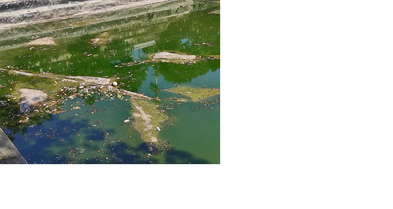 Tumpukan sampah plastik terlihat mengapung di Waduk Telaga Sari, mencemari keindahan dan ekosistemnya.(foto: Ato for Balikpapan Pos)