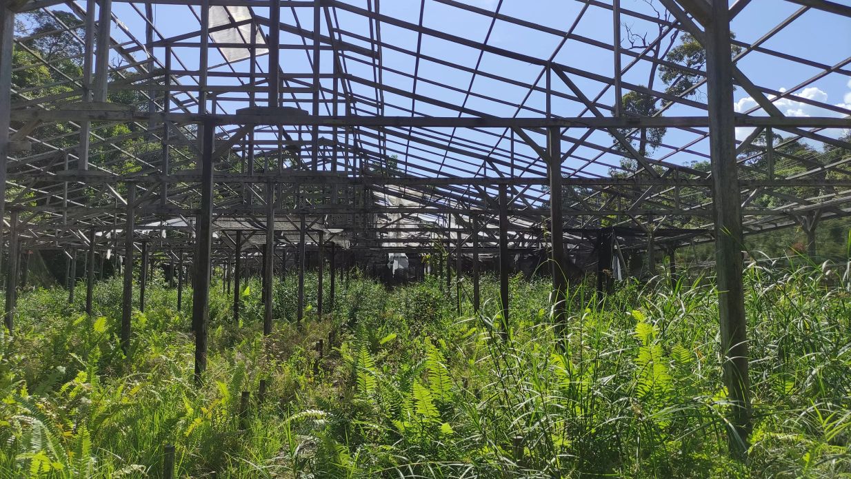 TERBENGKALAI: Kondisi Taman Anggrek Tarakan yang bertahun-tahun terbengkalai. FOTO: WILDAN/RADAR TARAKAN