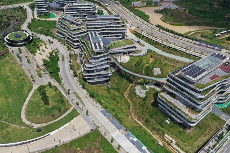 Ilustrasi - Kawasan Kantor Kementerian Koordinator (Kemenko) 3 di Ibu Kota Nusantara (IKN), Kalimantan Timur.  (Waskita Karya)