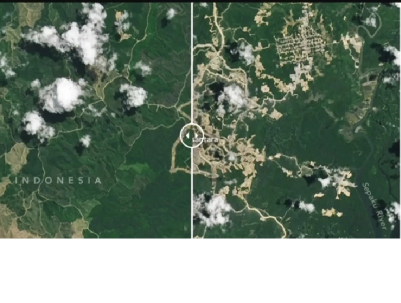 Foto pembangunan di IKN yang dirilis NASA memperlihatkan kondisi sebelum dan sesudah ada IKN di Sepaku. (Foto: NASA)