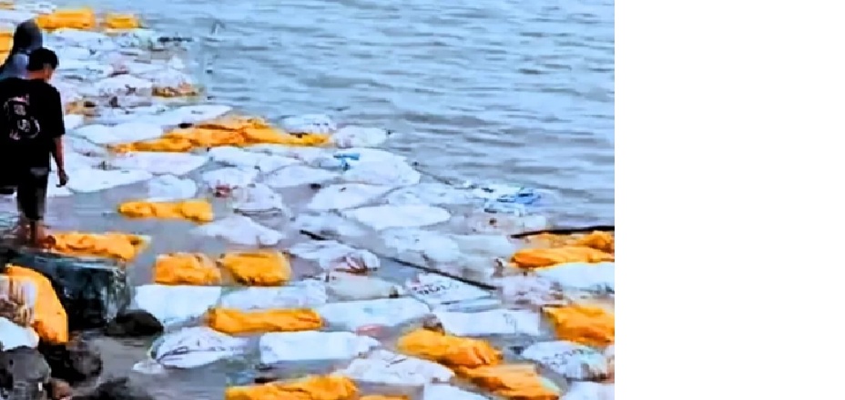 Muatan KM Bos Muda berupa kelapa mengapung di pesisir akibat tenggelamnya kapal tersebut pada Senin (16/6/2025). (ISTIMEWA)