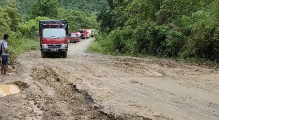 Jalur jalan Kukar-Kubar sebagai pintu masuk barat menuju IKN Nusantara.(FOTO:ISTIMEWA)