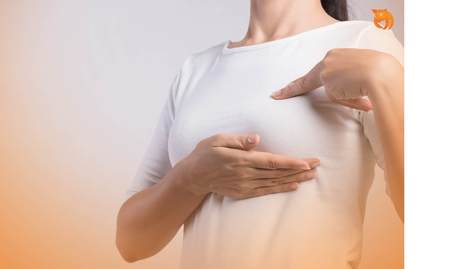 Ilustrasi payudara.