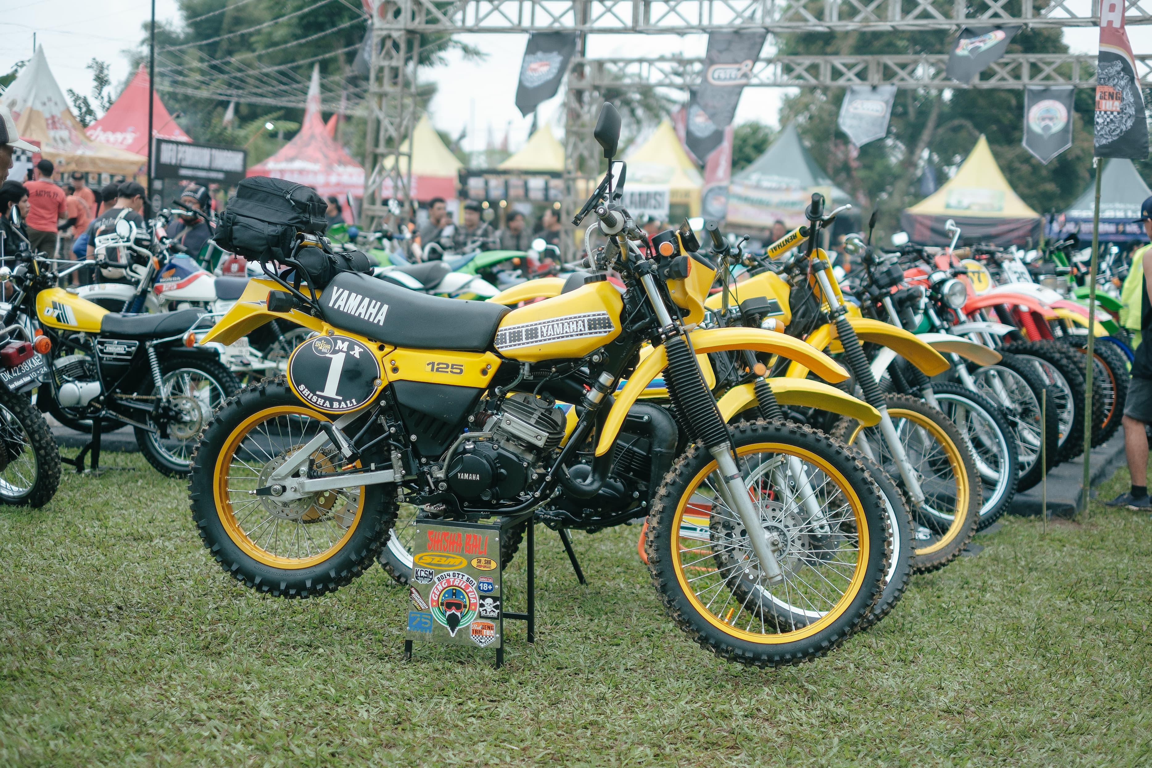 Arisan Tril Tua, diikuti oleh 1.127 penggemar tril tua yang teregistrasi, dan dihadiri oleh sekitar 3.500 penggemar tril tua.