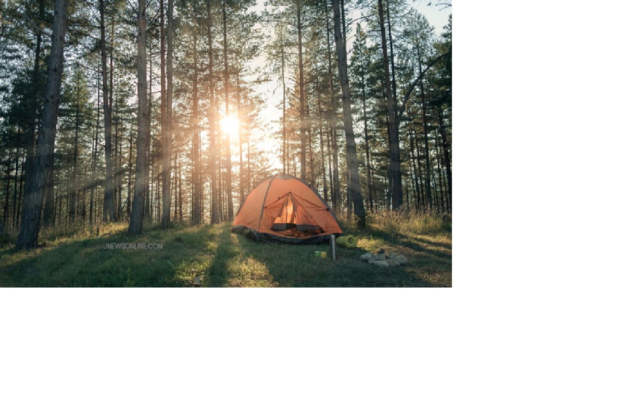 ilustrasi camping.