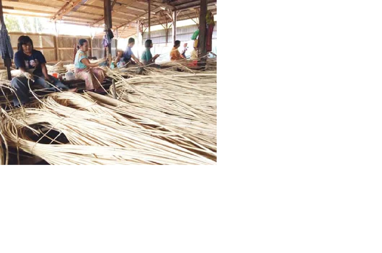 ROTAN: Pekerja rotan saat mengikat puluhan bilah rotan untuk dikirim ke antarpulau di Gudang Rotan milik salah seorang pengusaha rotan di Kecamatan Kotabesi, pada 13 Maret 2020 lalu.