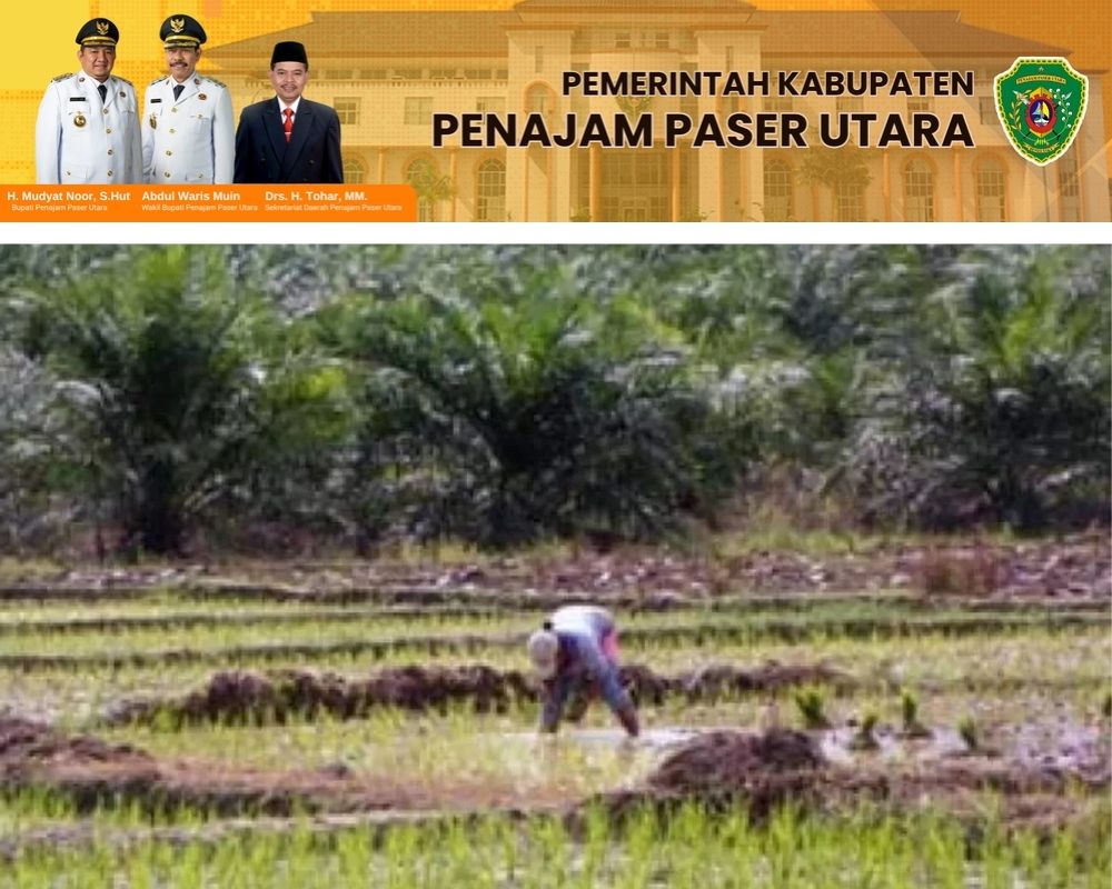BERUBAH: Banyak lahan persawahan di Kabupaten PPU yang tergerus akibat alih fungsi menjadi kebun kelapa sawit.