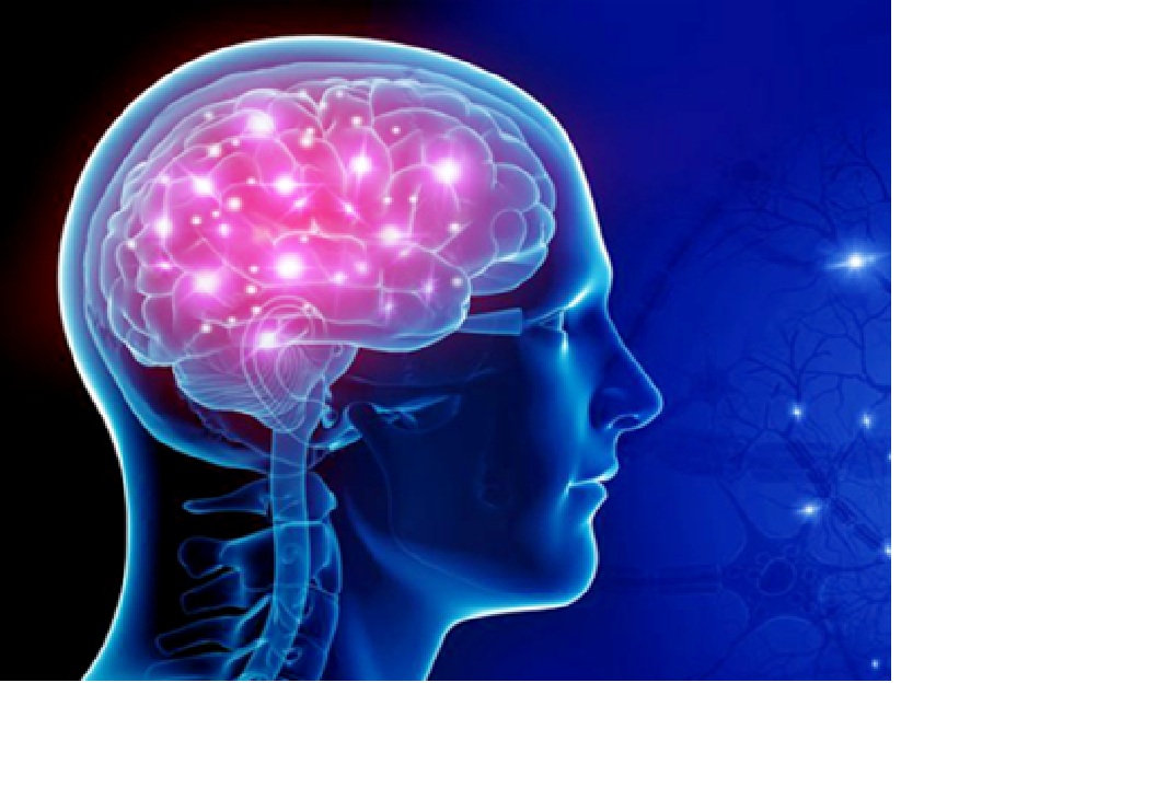 Ilustrasi otak.