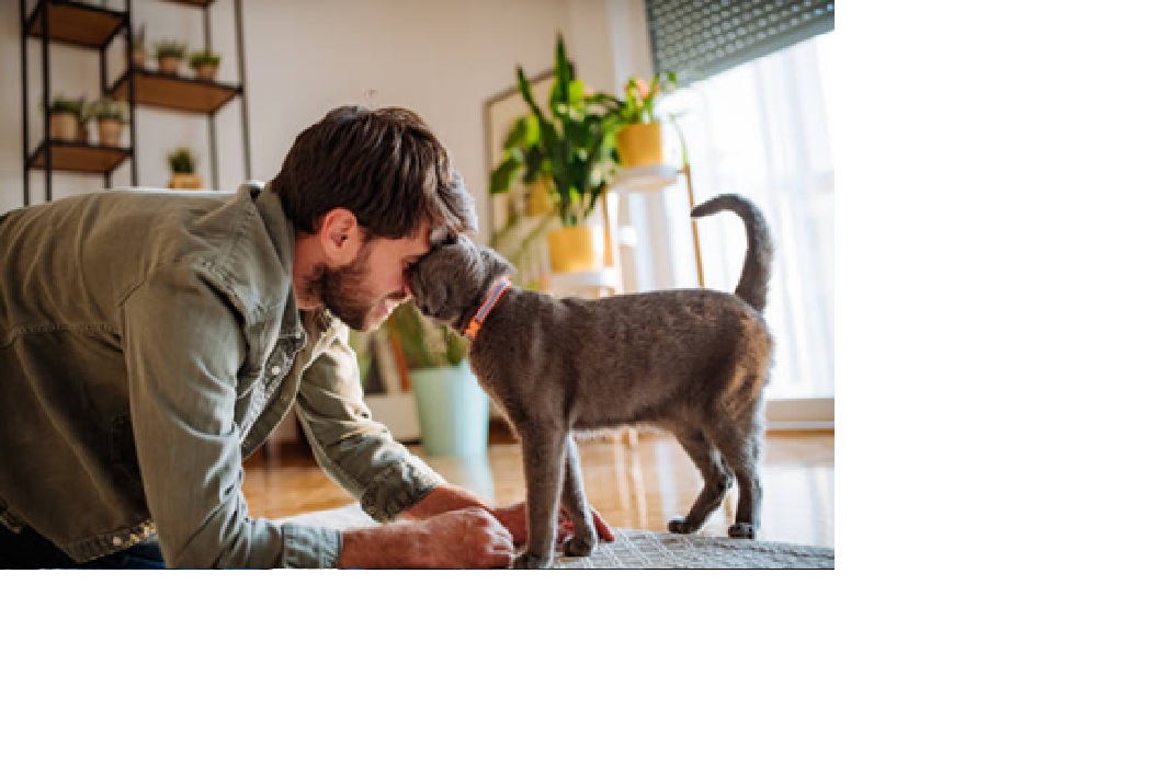 Ilustrasi pria dan kucing.