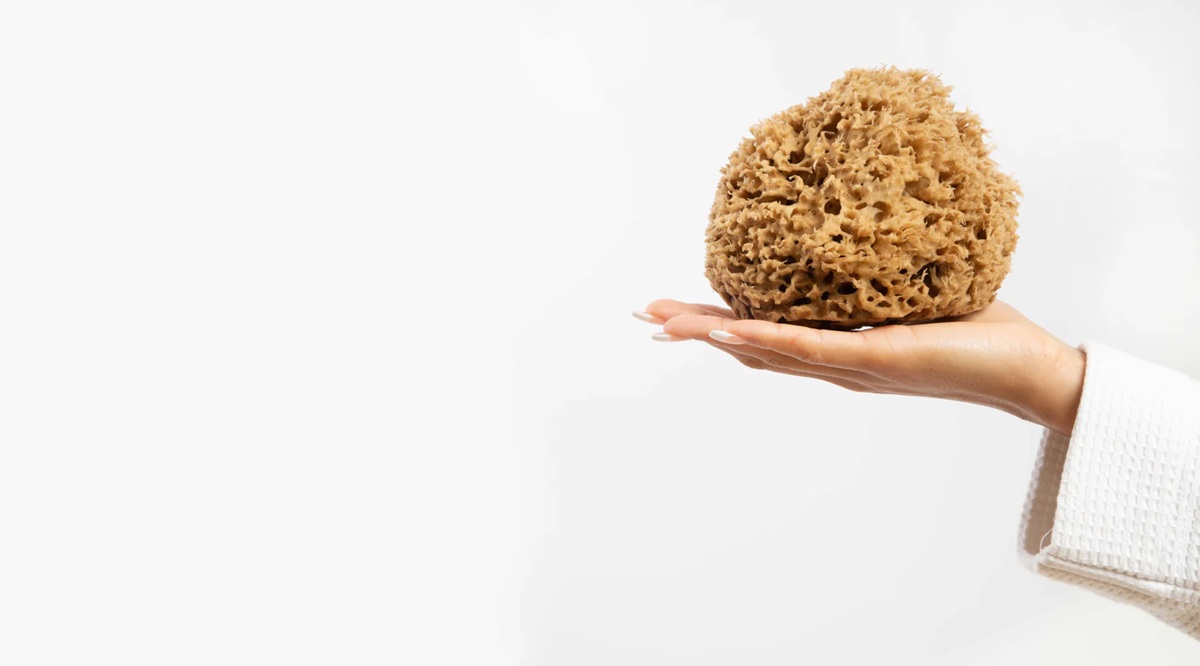 Ilustrasi spon mandi.