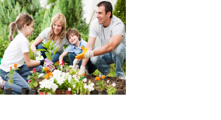 Aktivitas berkebun bersama keluarga.