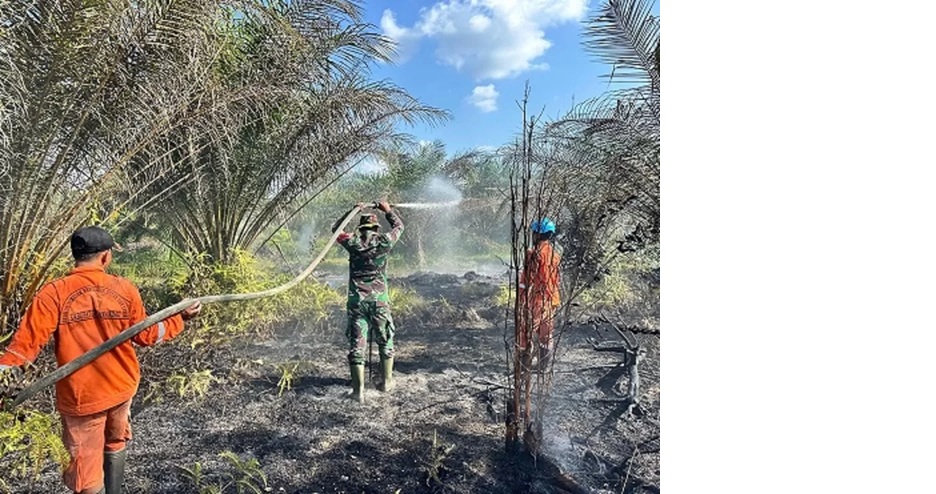 Tim memadamkan api kebakaran lahan di dekat pemukiman warga di sekitar Kota Nanga Bulik Kabupaten Lamandau. (istimewa/Bpbd Lamandau)