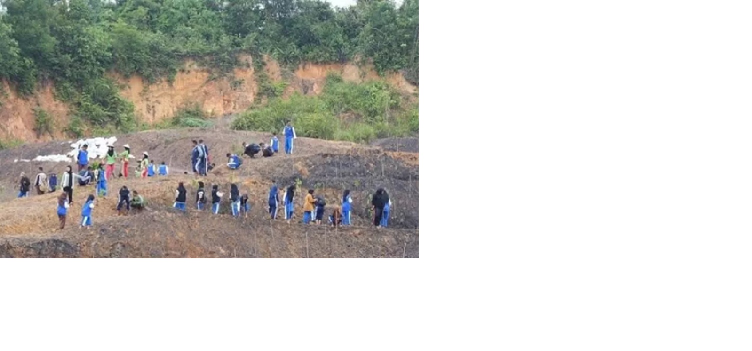 Lahan bekas tambang batubara disebut bisa jadi wadah pertanian baru yang potensial.