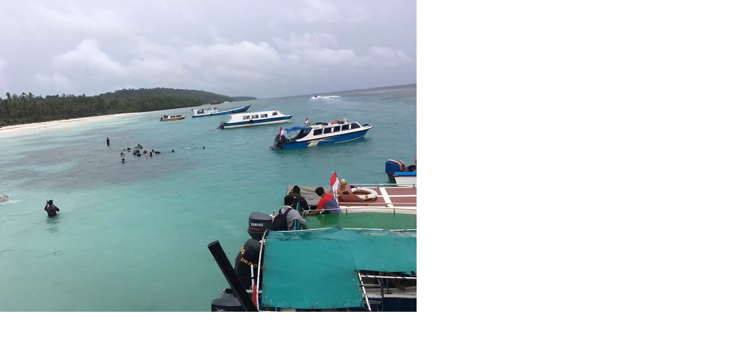 Pariwisata Berau terus menunjukkan tren positif. Kontribusi sektor ini terhadap PAD mengalami kenaikan signifikan berkat optimalisasi destinasi unggulan dan promosi wisata.