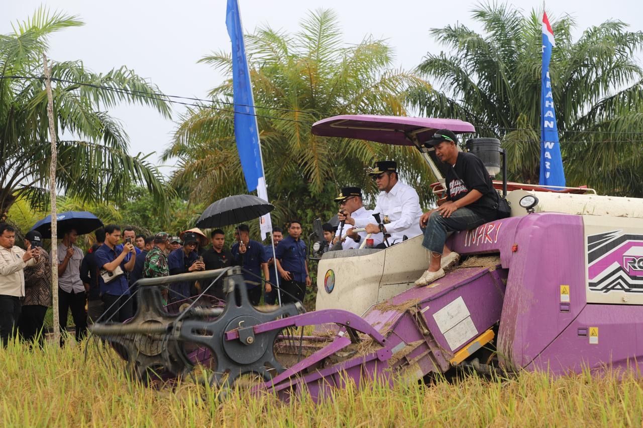 Gubernur panen padi di PPU.