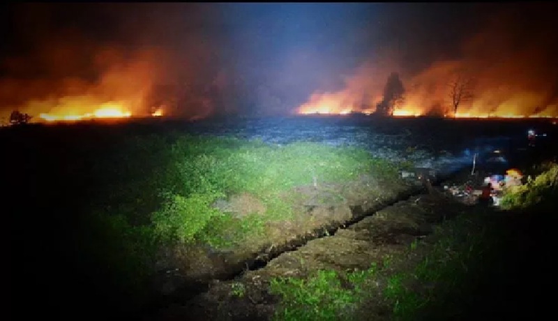 Kebakaran lahan di Kabupaten Kotawaringin Timur belum lama ini.