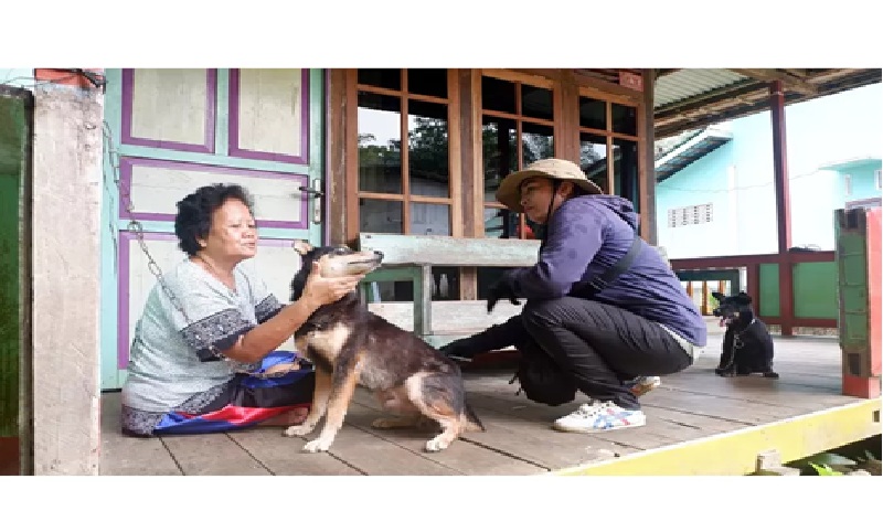 VAKSINASI : Petugas Dinas Pertanian, Perikanan, dan Ketahanan Pangan Kabupaten Landak saat melakukan vaksinasi rabies.